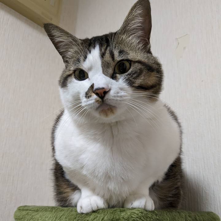 6623fef8 0918 4d92 b14e 6c2985aa8648 1707662019763