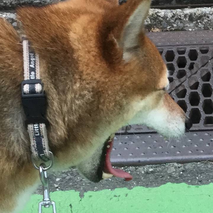 6623ff6c 3969 4b43 b130 10bc67e03071 1561633480181