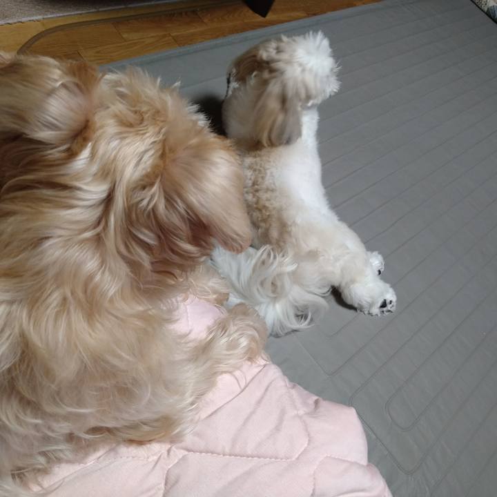 66241b13 4633 48df a41a 02f9a2a7b8c4 1660173745867