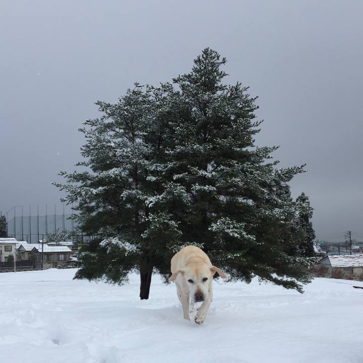 66243bff 110c 4253 8993 c15db61e6719 1640525252141