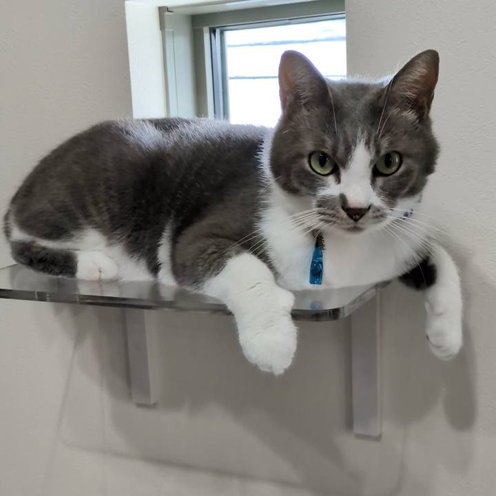 662450d0 580f 49a4 b61f fed9f150acd0 1757641322377