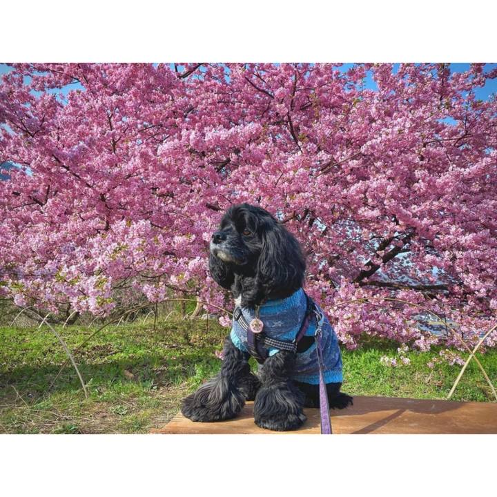 66245200 b730 4026 aab6 f0fd46375ccb 1678448911018