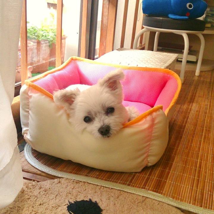 6624666b 2339 4199 b45e f181eba7ab3b 1526365618564