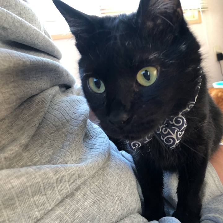 66247736 0432 4da4 8107 f6cf0de39e48 1557779010679