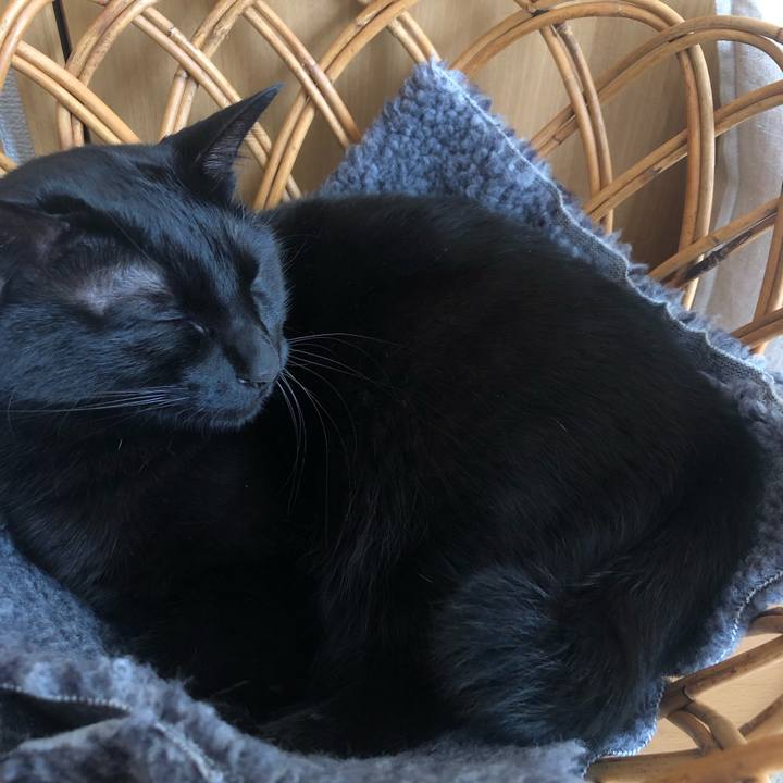 6624ca2d a3b4 4673 a606 bcd02842d07e 1581378122453