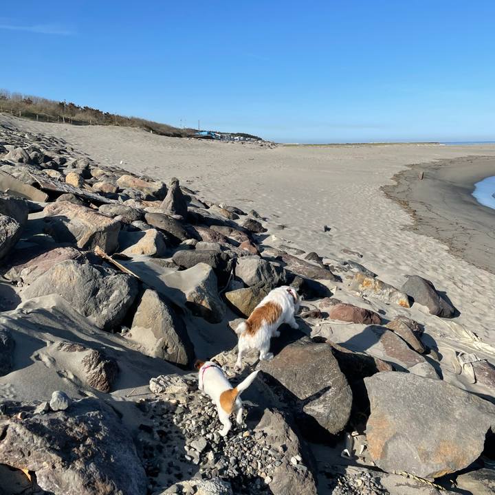 6624e3b7 2383 45f0 ba14 7abad3e4b7eb 1619480896372