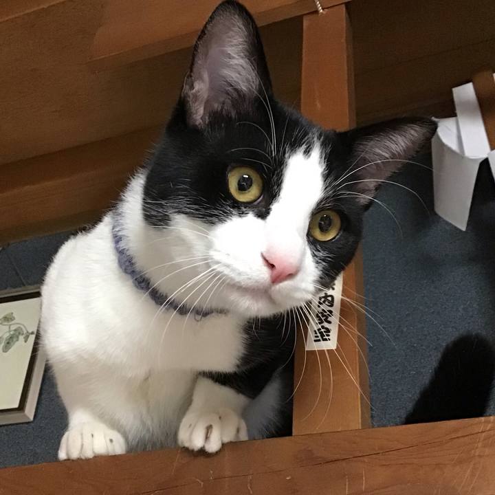 6624e40f bf15 4639 bd70 94cde32d7cff 1638606937456