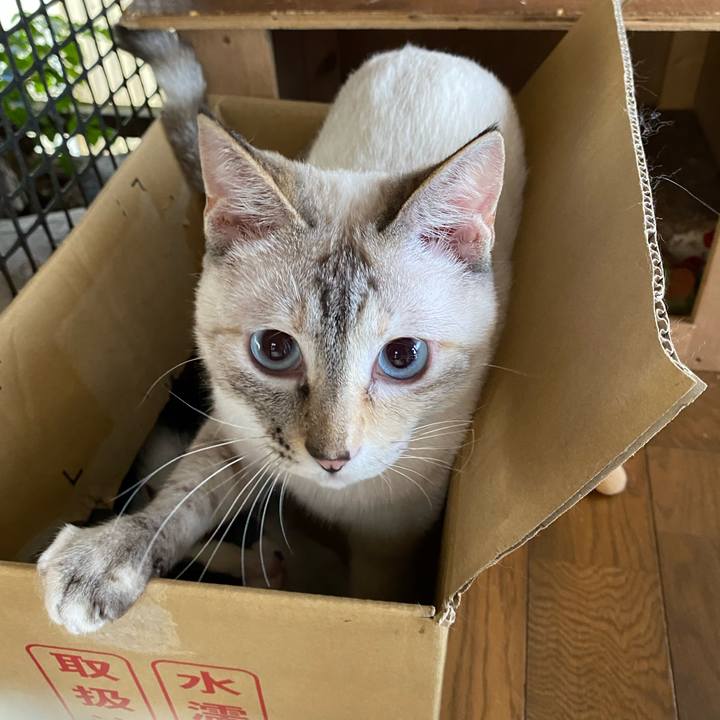 66254e1e ad6d 4d57 86f4 6e8f71585632 1654305544646