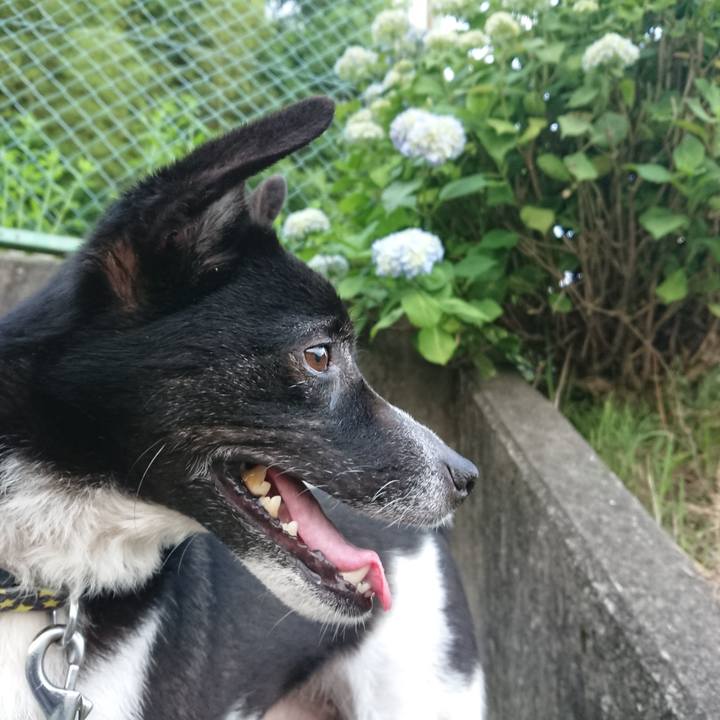 66258b39 12da 4561 bd45 cf4f32dbe749 1560209722726