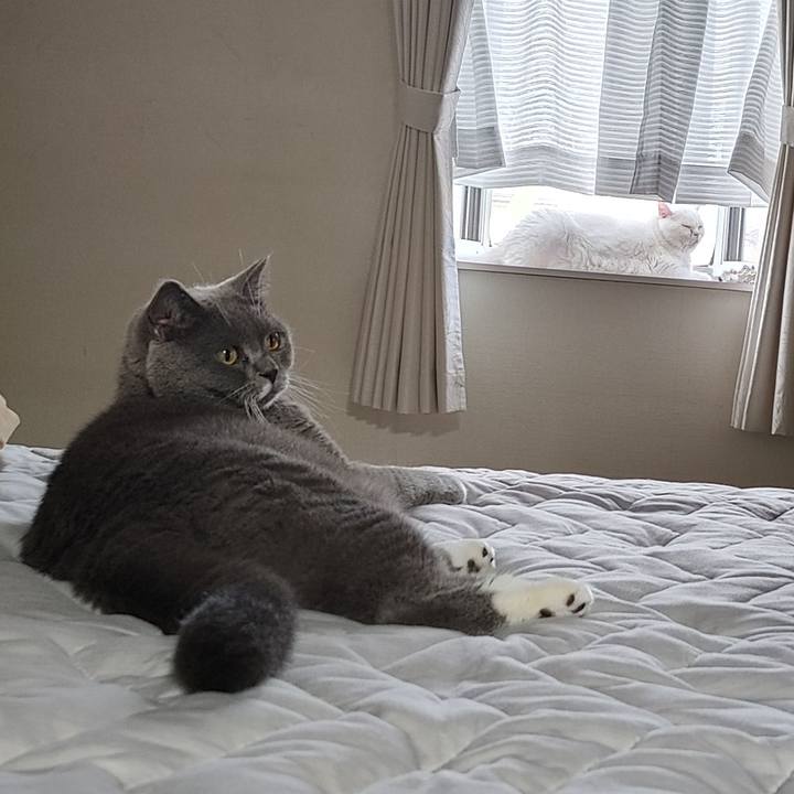 6625deb2 2825 4cfd b867 69d9501e6bb8 1628633628587