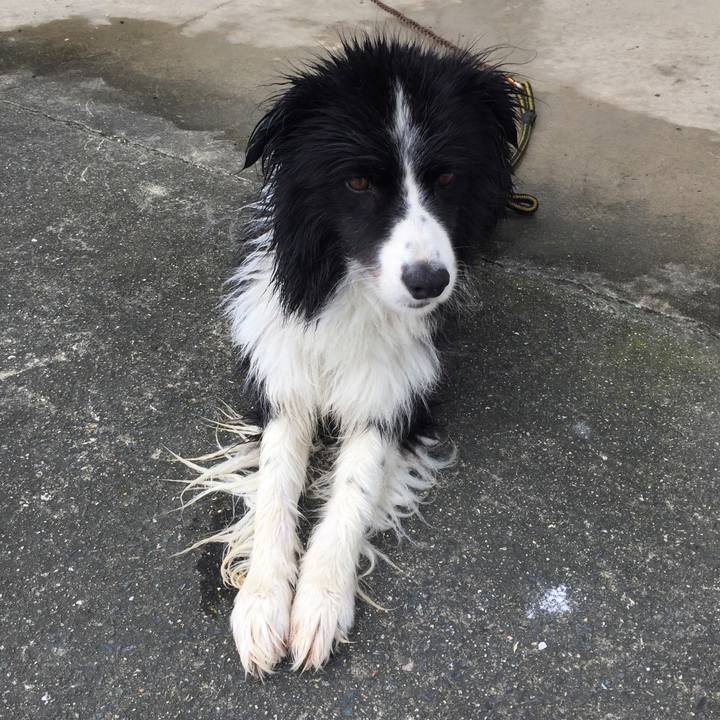 66262f7a 739c 456f a580 91ba01bbe495 1567228408201