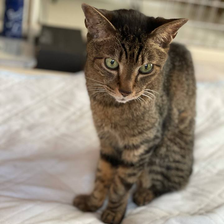 66263911 262e 4894 9dbb 23e90056ceea 1624761885007