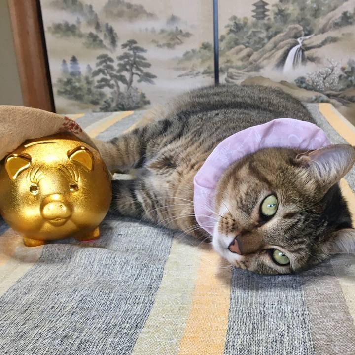 6626a023 49f3 48cc bd08 5c7057e599de 1598405624100