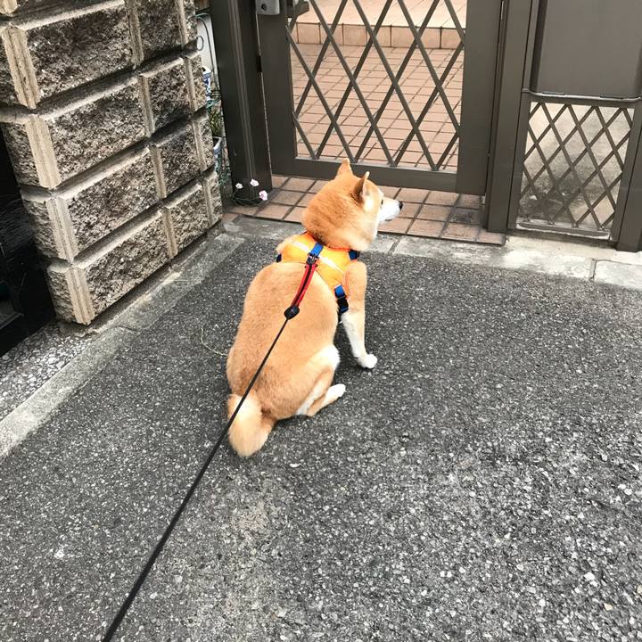 6626be12 b0bf 468f 957a faa7923901f4 1526703481026