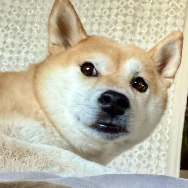 6626d779 c40f 4054 9a3f f448ad90c796 1752541782654