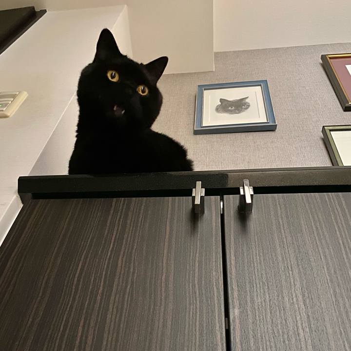 6626e8f8 6527 4ad2 816d ef6c5dfdd23d 1715592670675