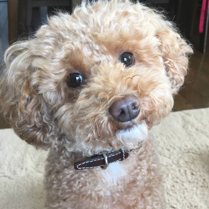 66270fff f261 4337 9de9 7819927bda34 1539262354527