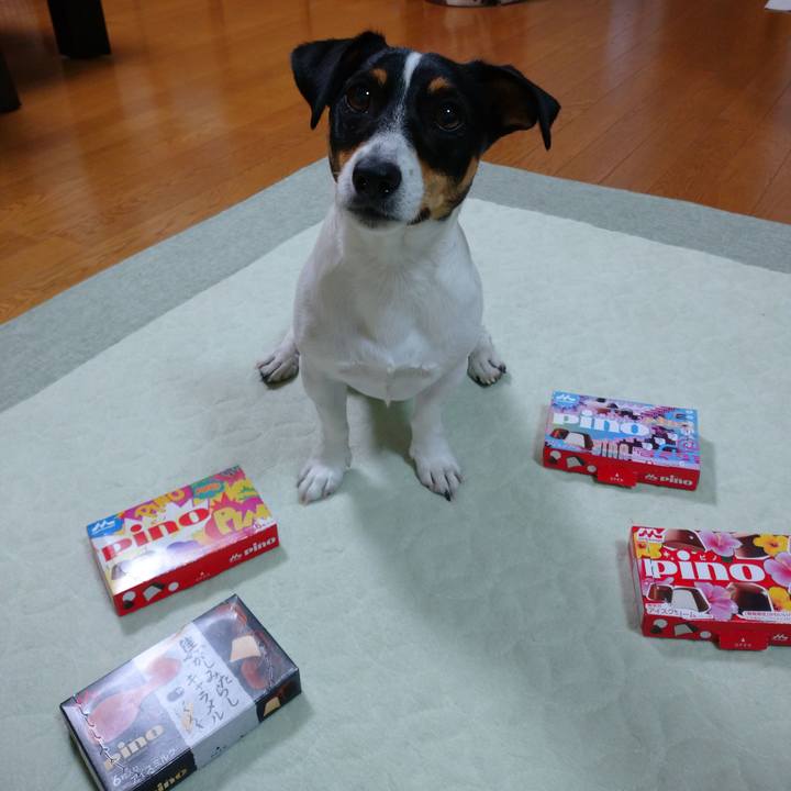 6627395b 3519 4985 af09 bb464e029c36 1604670933964