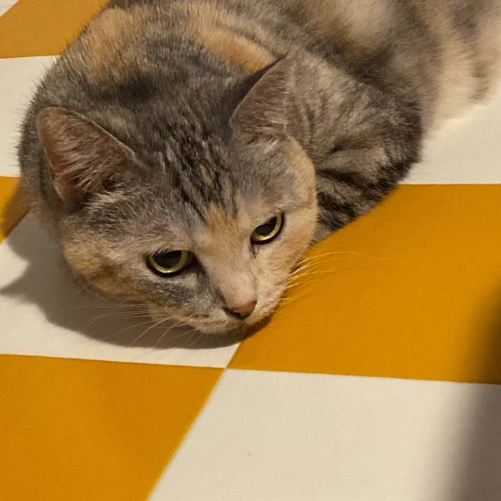 662759bc 64c3 4c14 bdab 17c1206d0278 1692533746327