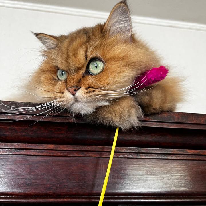 6627a598 4ee1 4924 a172 7e2c9e0e7598 1641990816158