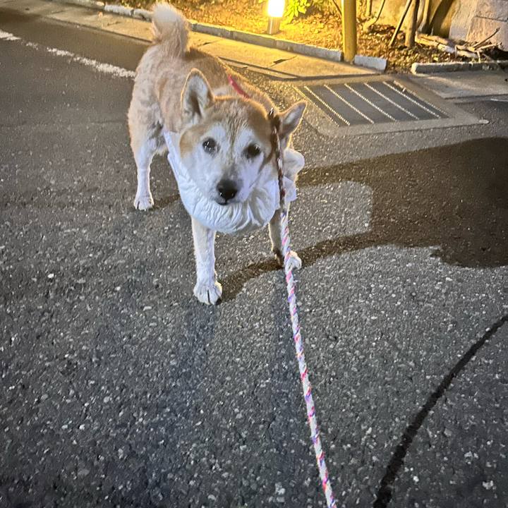 6627cb6b da50 4955 8f30 dc59989d57da 1763888698598