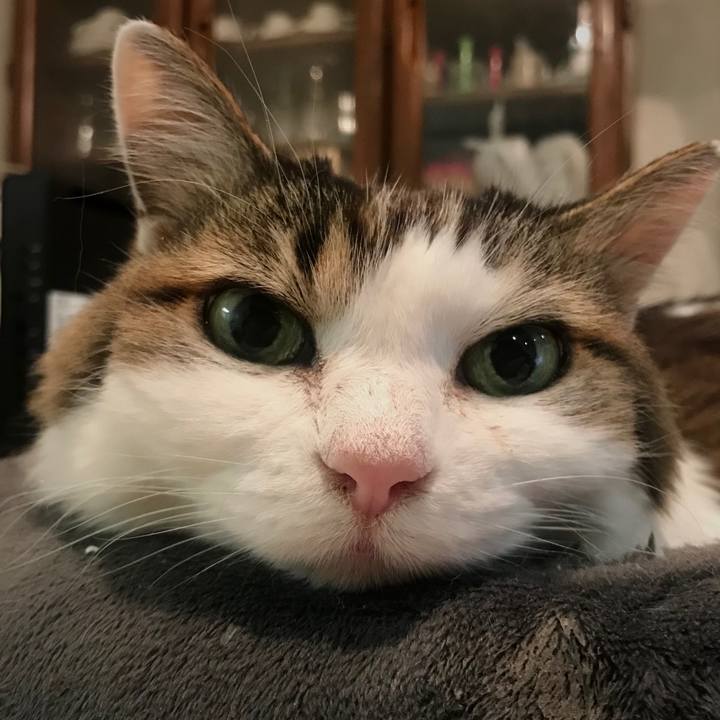 66281edf 9d14 447f a0e6 79dbb8a75792 1614259182106