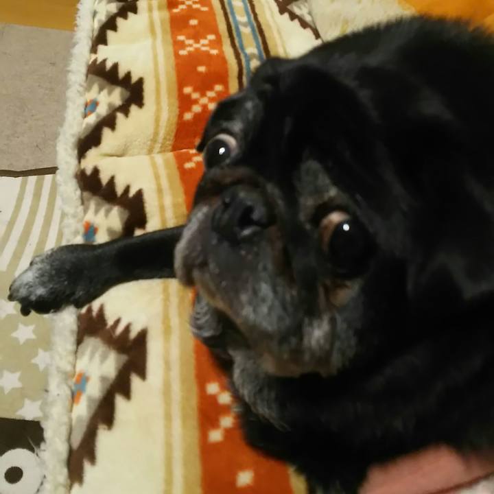 6628b16e 919e 4361 83ca a2ba3b7e3f09 1515592419812