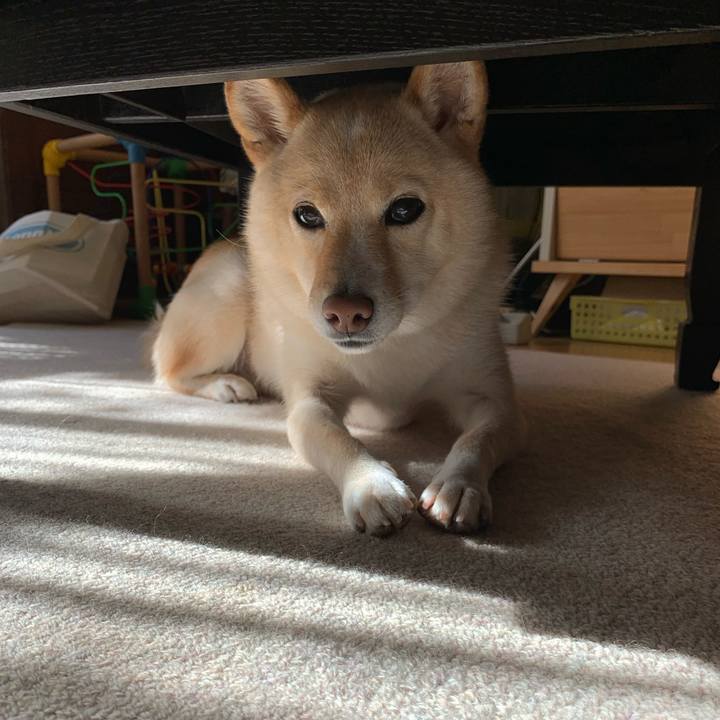 6628c610 fac1 437e 940a e4e1fb1cb316 1633217313959