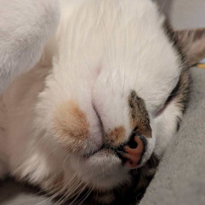 6628e447 6bea 454f a498 dc66ddfb2fae 1768908446607