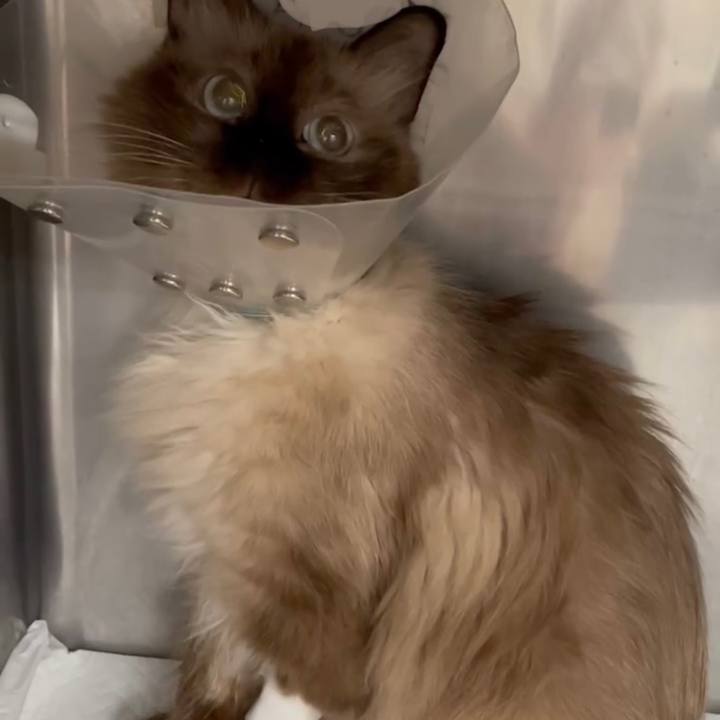 6628f371 8b1f 4ec6 85d2 ac1c32014205 1694008398361