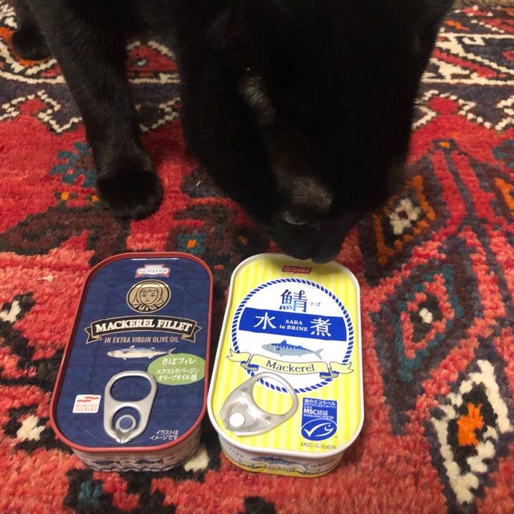 6629963f d536 4017 879c 45e5c9cbf845 1559650368121