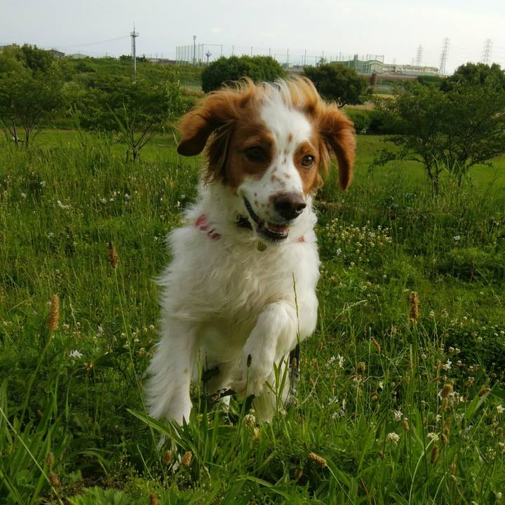 6629adf7 937e 4acf 997e 5204a0e45dae 1560425755293