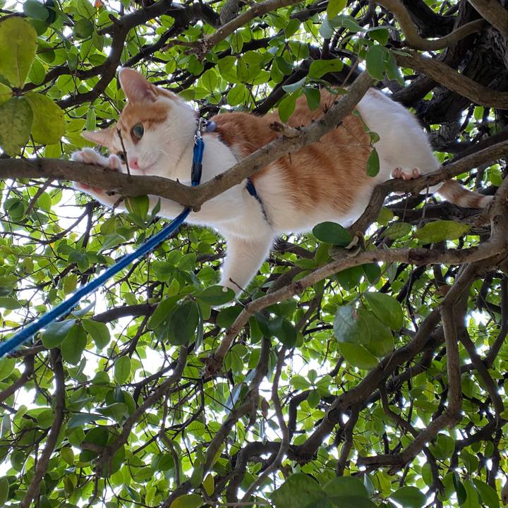 6629c453 a76d 44af 8995 8576cafa6111 1583629475370