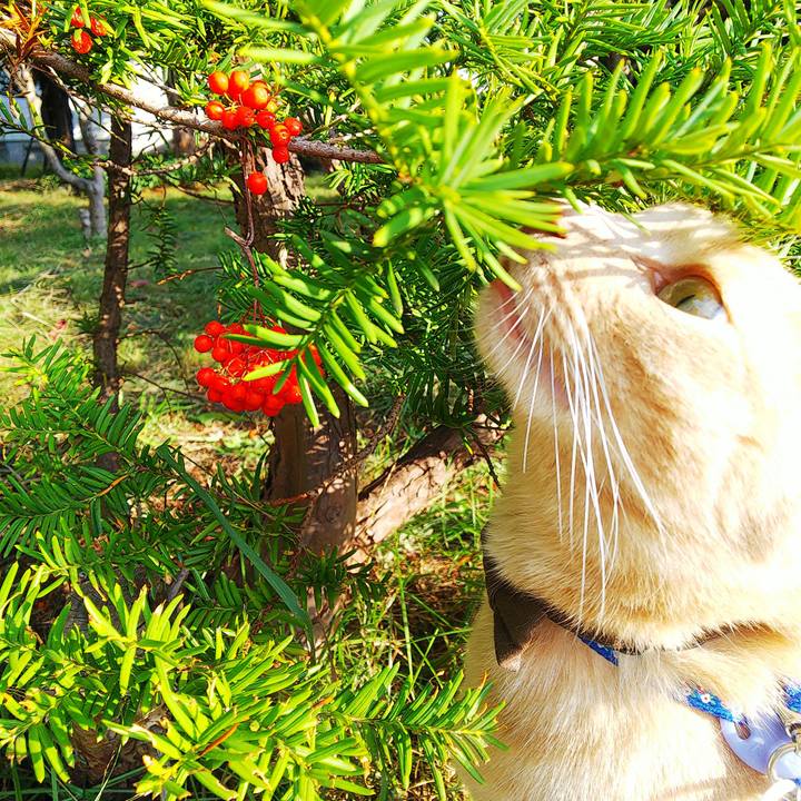 6629d838 57f4 4183 910c 587a76e27b19 1630747166464