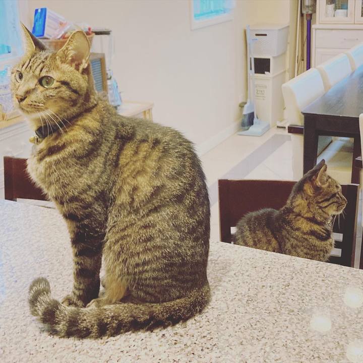 6629e7d6 e7b8 46be 856b 07a293532476 1630588655903