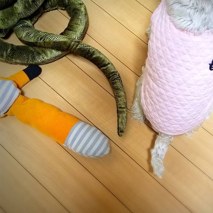 6629e839 9104 4151 89c6 5eb9ef7c82dd 1542291676793