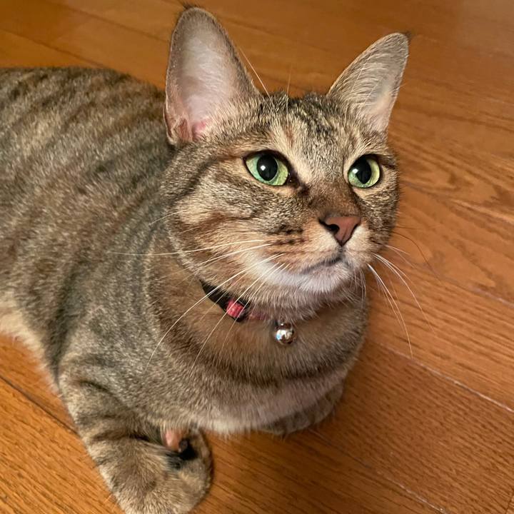 662a2231 d009 4805 b1dc aa2cb0d5bcd7 1629023288036