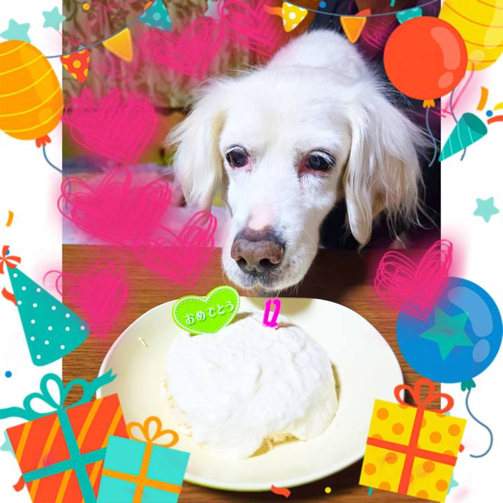 662a2457 89c4 4e78 8b21 71fd76a1ef62 1773149379343