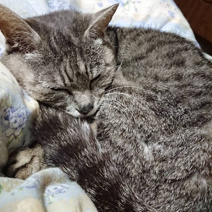 662a2800 bc6e 4893 bddf 44beb7442485 1590066869263