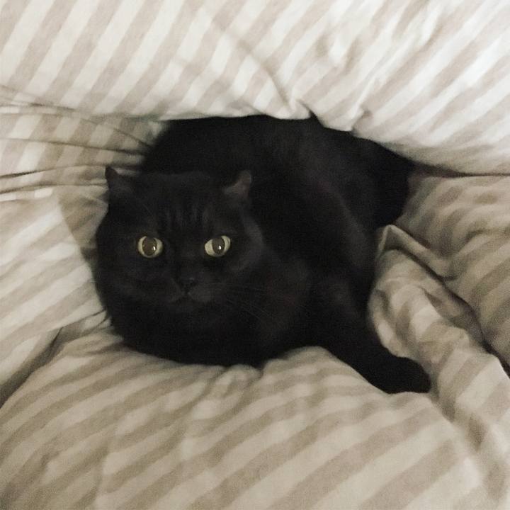 662a32db 7b67 43a2 a753 3124cf05451d 1511688923907