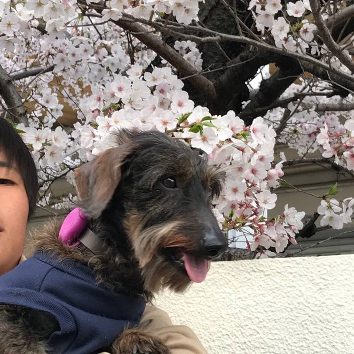 662a3588 4f88 45ee 9760 1ea8b5a515cf 1554642349620