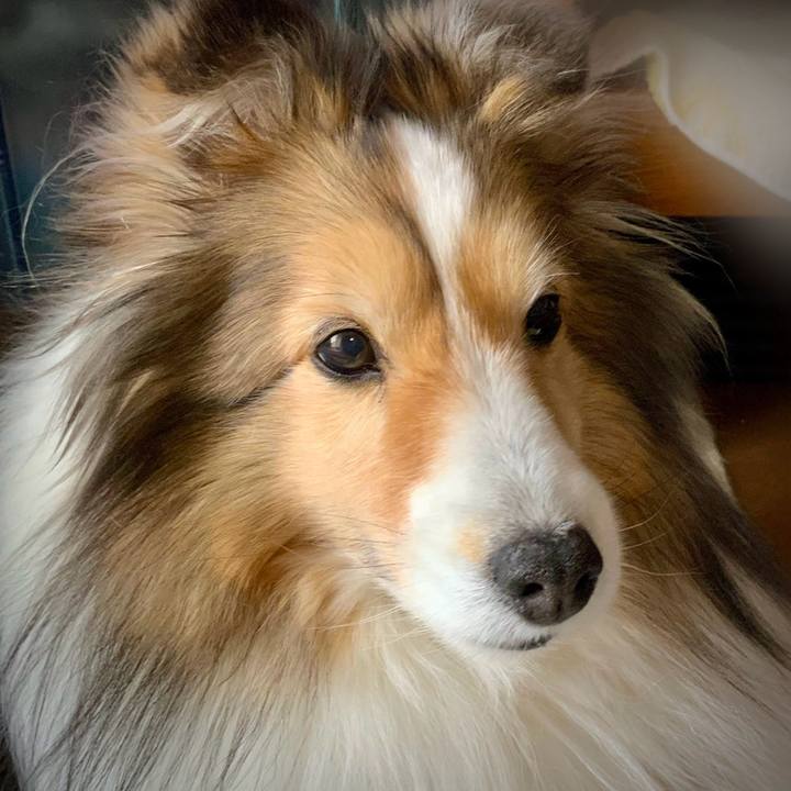 662a42e1 8f29 4c56 9efe 92ce5bb3a7a5 1768532205343