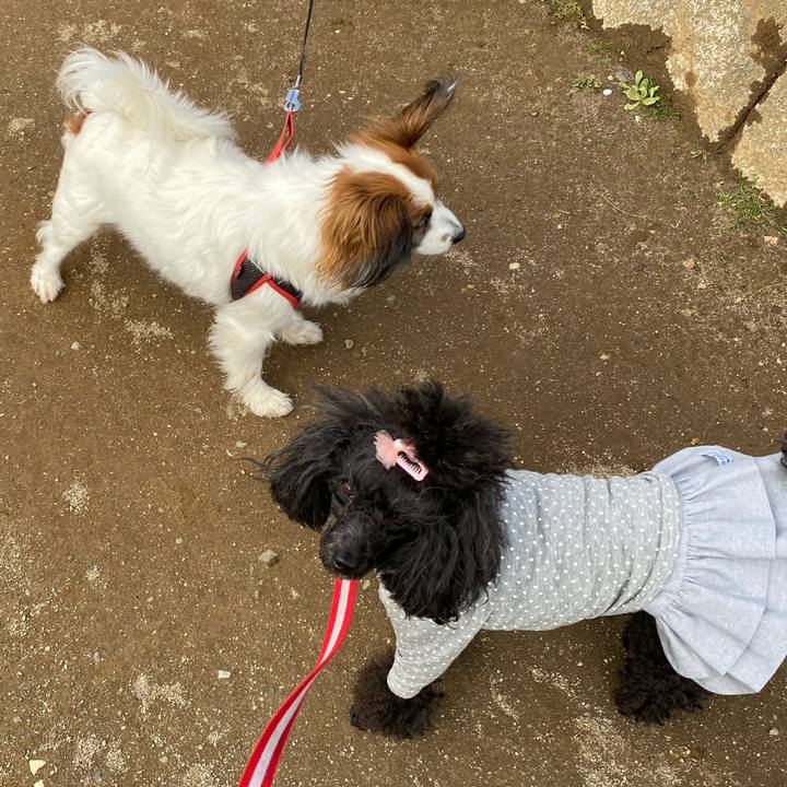 662a9d96 8c66 4a82 aee6 941d06efcdbf 1648997932802