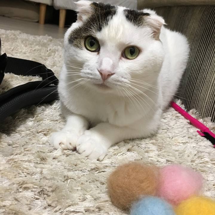 662b128a 3052 44c2 9e12 bb6b5c40490e 1509703501082