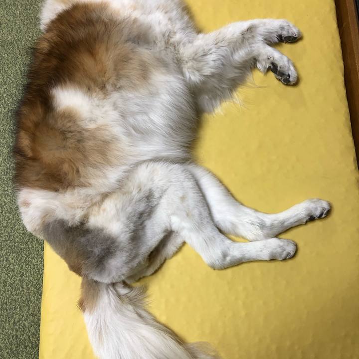 662b5a97 79e1 44c8 9fba 42d88bb82851 1552474941007