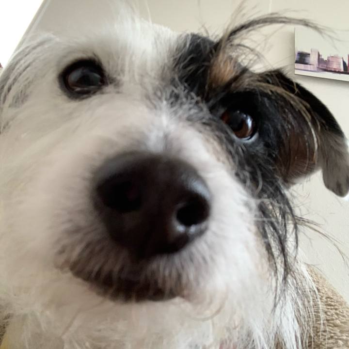 662b5bc6 609d 45b9 a4ee 7712e0dd6546 1647915197328