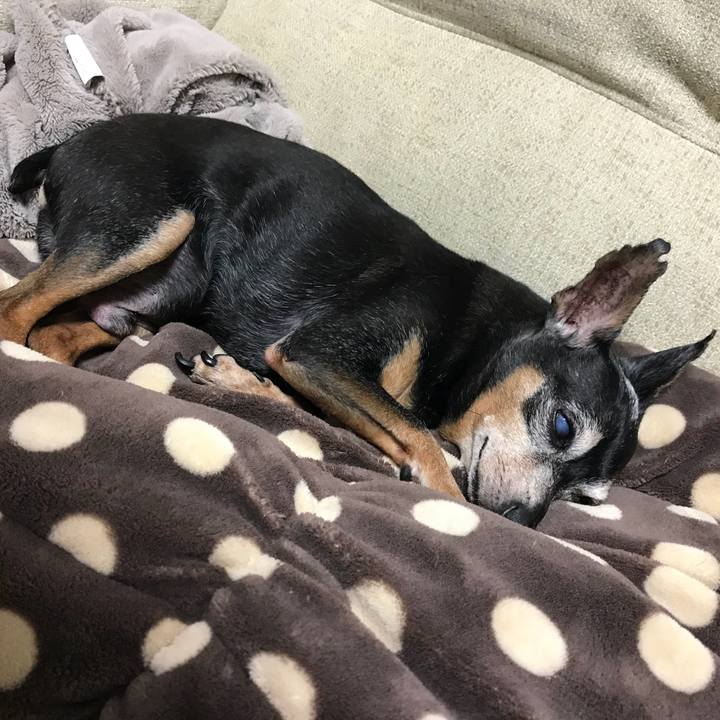 662b9317 d871 4d44 8bb7 71e523932f25 1565270839543