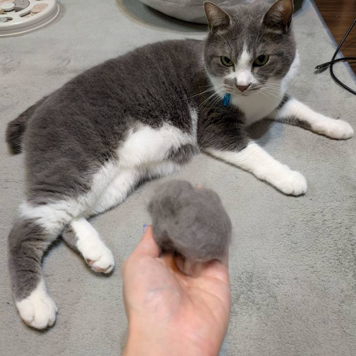 662b97af f2b5 47a8 82f7 e50f8ebf23c0 1747056247873