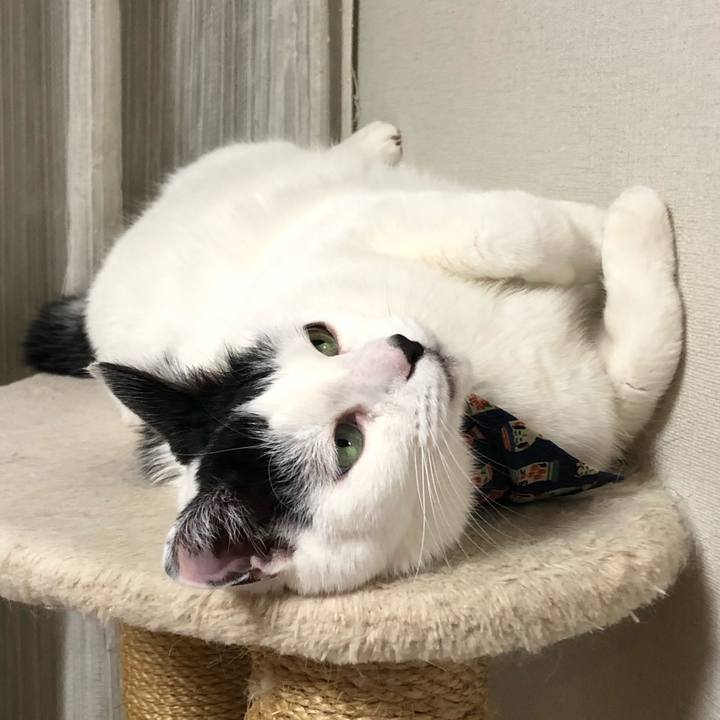 662bd20d 69a8 44bb 8f98 4aea8e997313 1580041343411