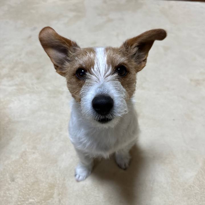 662bd8c0 b33f 452b b857 89c708e6711d 1773353993709